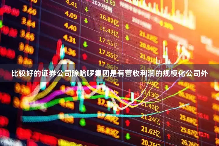 比较好的证券公司除哈啰集团是有营收利润的规模化公司外